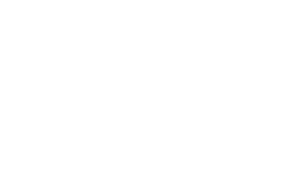 GUANGDONG DSH SEALS TECHNOLOGY CO., LTD.