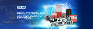 MAHLE ENGINE PARTS